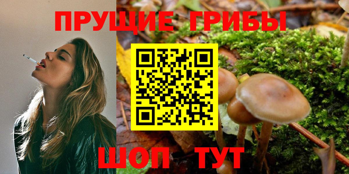 Галлюциногенные грибы ЛСД  Вход с VPN  Петропавловск-Камчатский 
